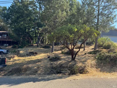 1596 Daphne Drive