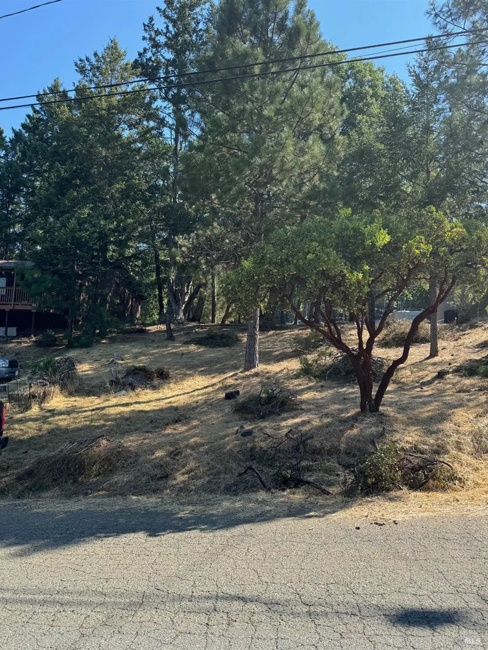 1596 Daphne Drive Willits, CA 95490