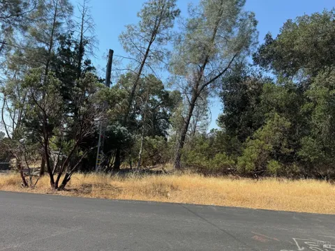 3049 Wolf Creek Road