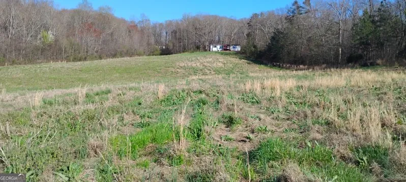 2331 Kesler RD Carnesville, GA 30521