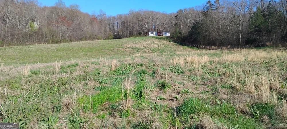 2331 Kesler RD Carnesville, GA 30521