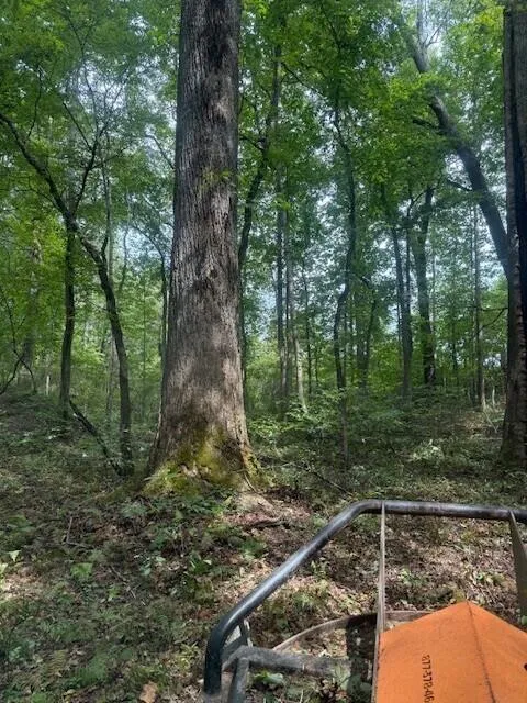 1 Tipple Road Road Tracy City, TN 37387