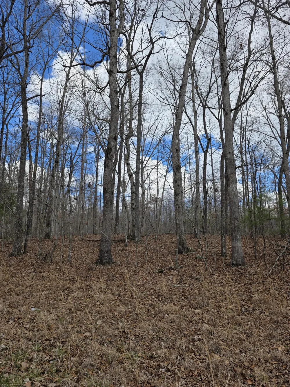 Diane Circle Crossville, TN 38572