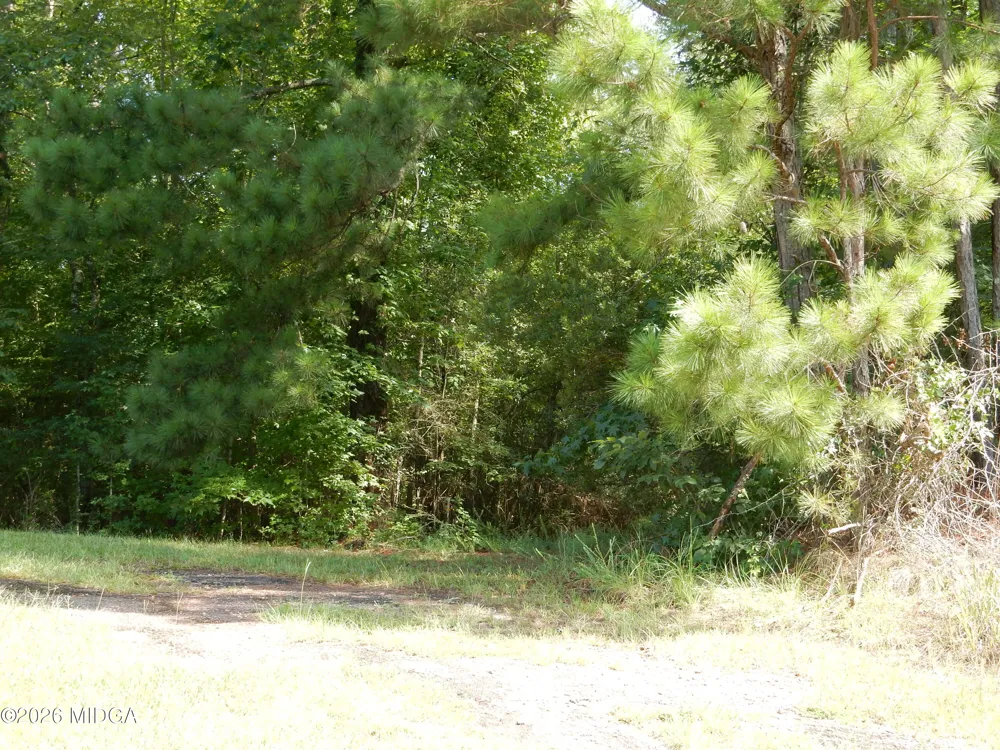 1 Whitaker Road Roberta, GA 31078