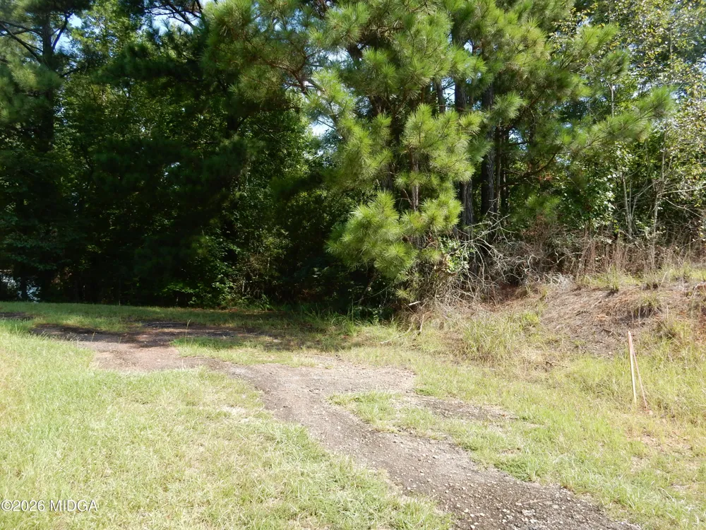 1 Whitaker Road Roberta, GA 31078