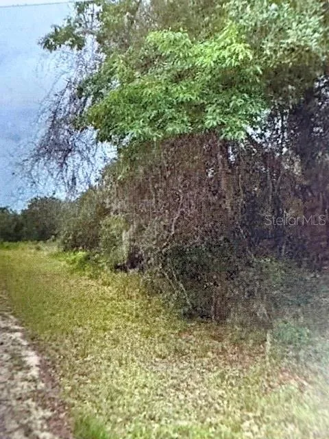 WALTON Dunnellon, FL 34434