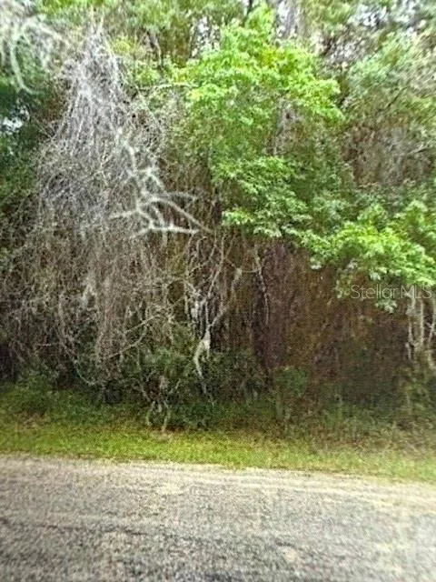 WALTON Dunnellon, FL 34434