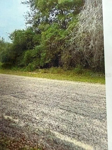 WALTON Dunnellon, FL 34434