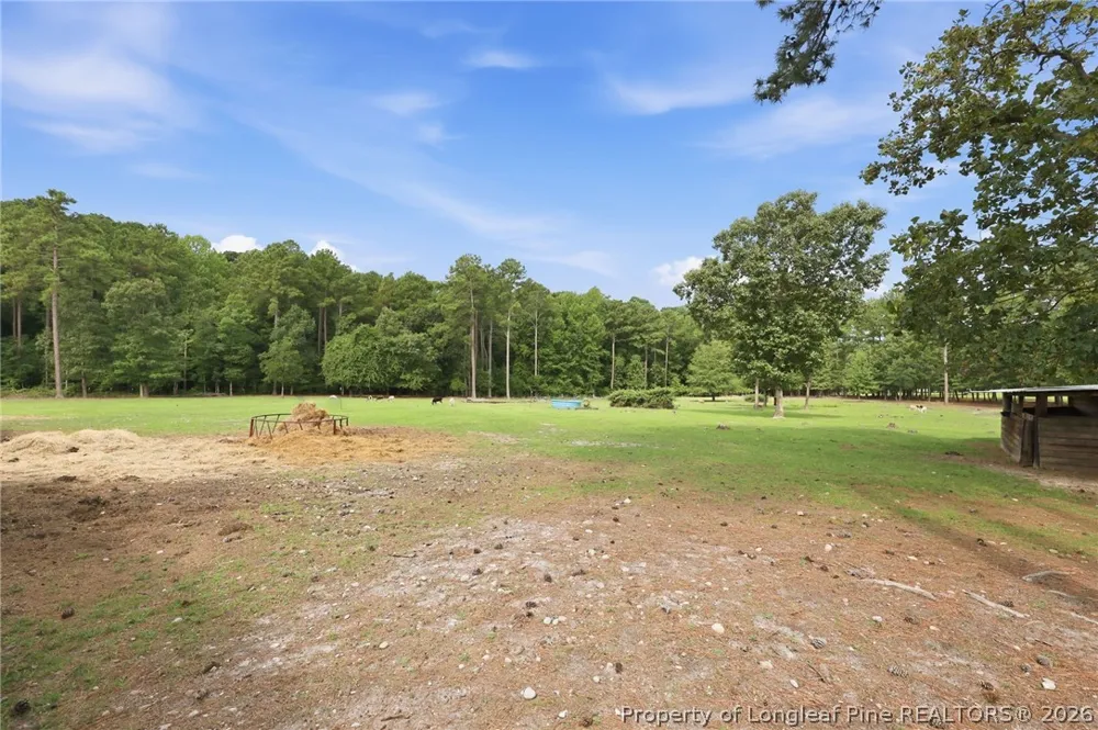 254 Docs Road Lillington, NC 27546