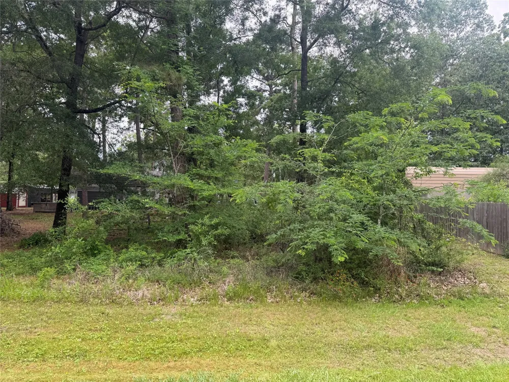 125 Trinidad Lane Point Blank, TX 77364