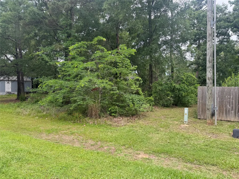 125 Trinidad Lane Point Blank, TX 77364