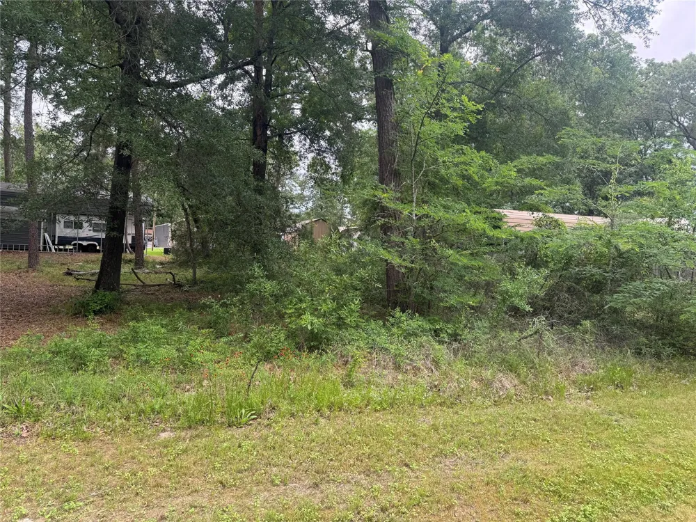 125 Trinidad Lane Point Blank, TX 77364