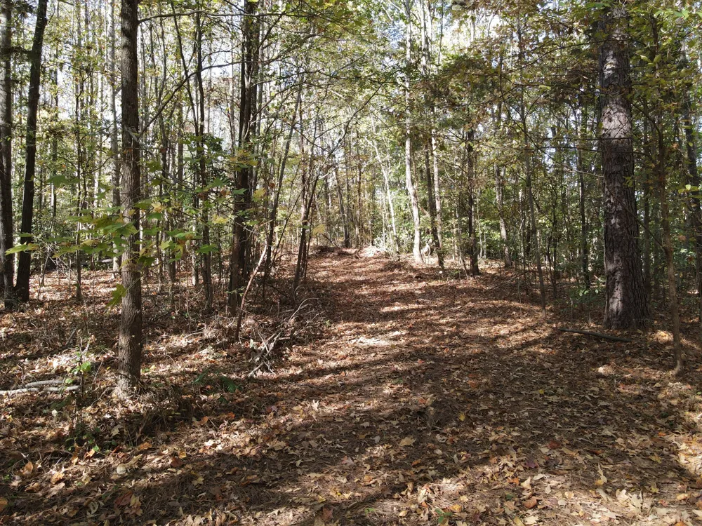 2 Copper Spring Road Springville, TN 38256