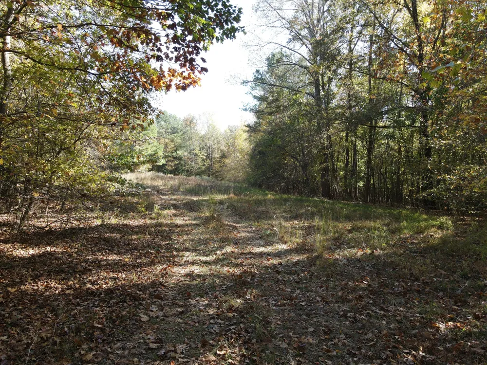 2 Copper Spring Road Springville, TN 38256