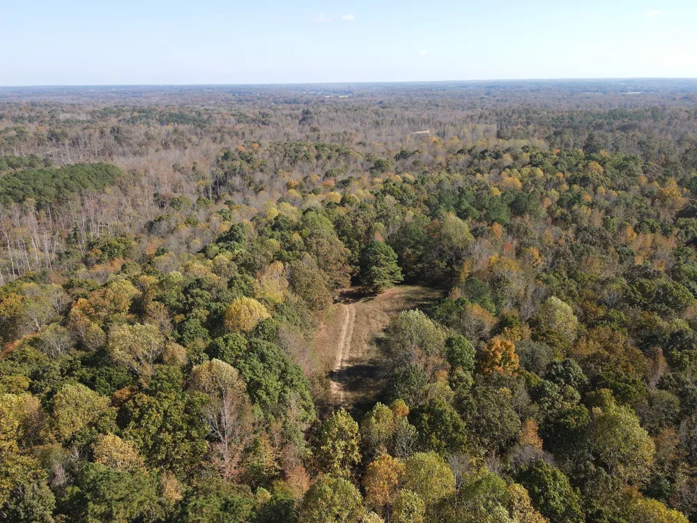 2 Copper Spring Road Springville, TN 38256