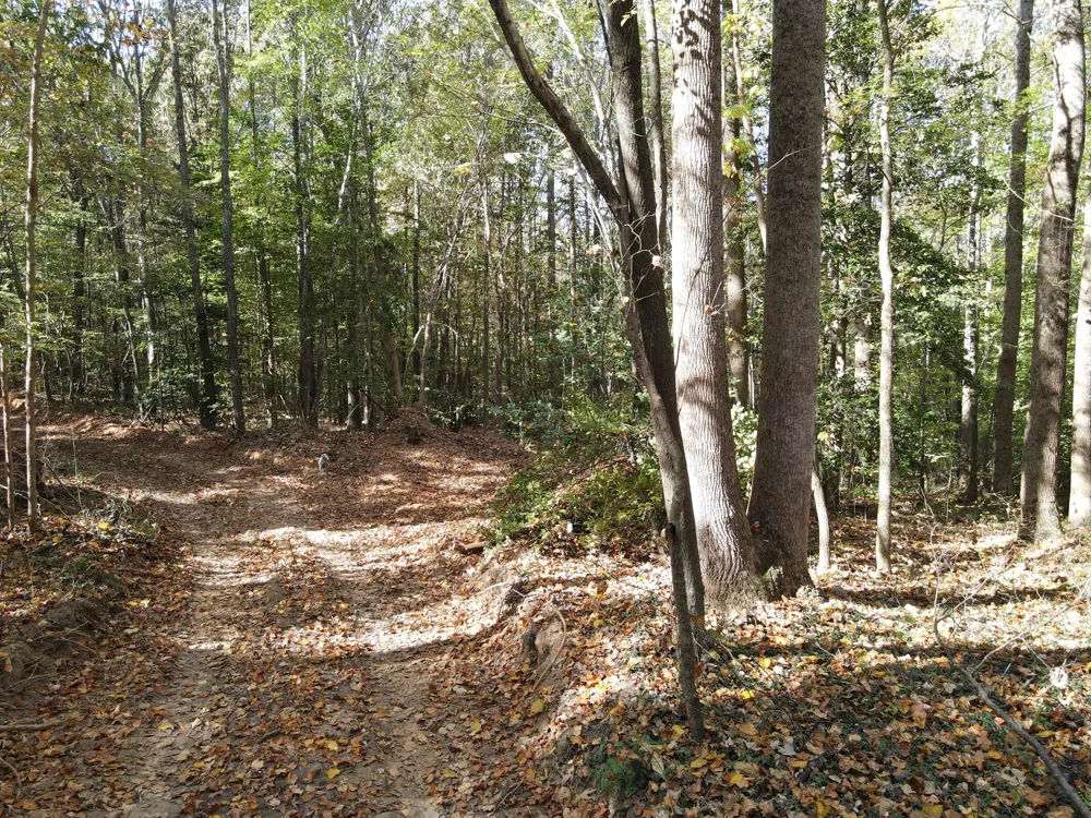 2 Copper Spring Road Springville, TN 38256