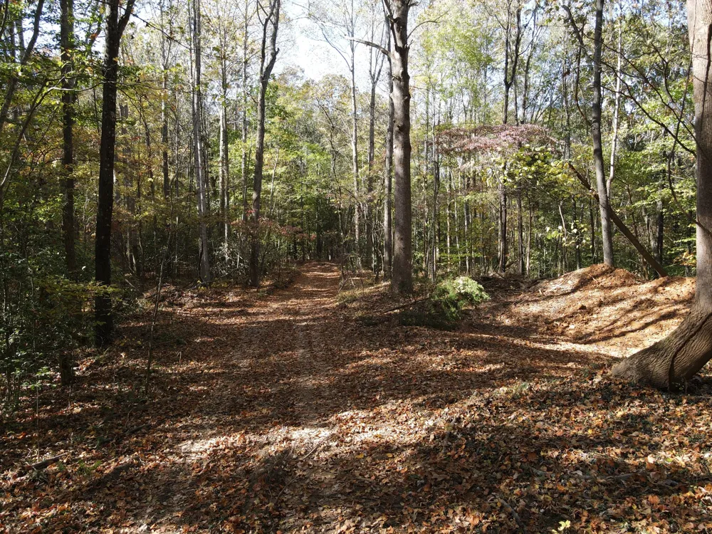 2 Copper Spring Road Springville, TN 38256