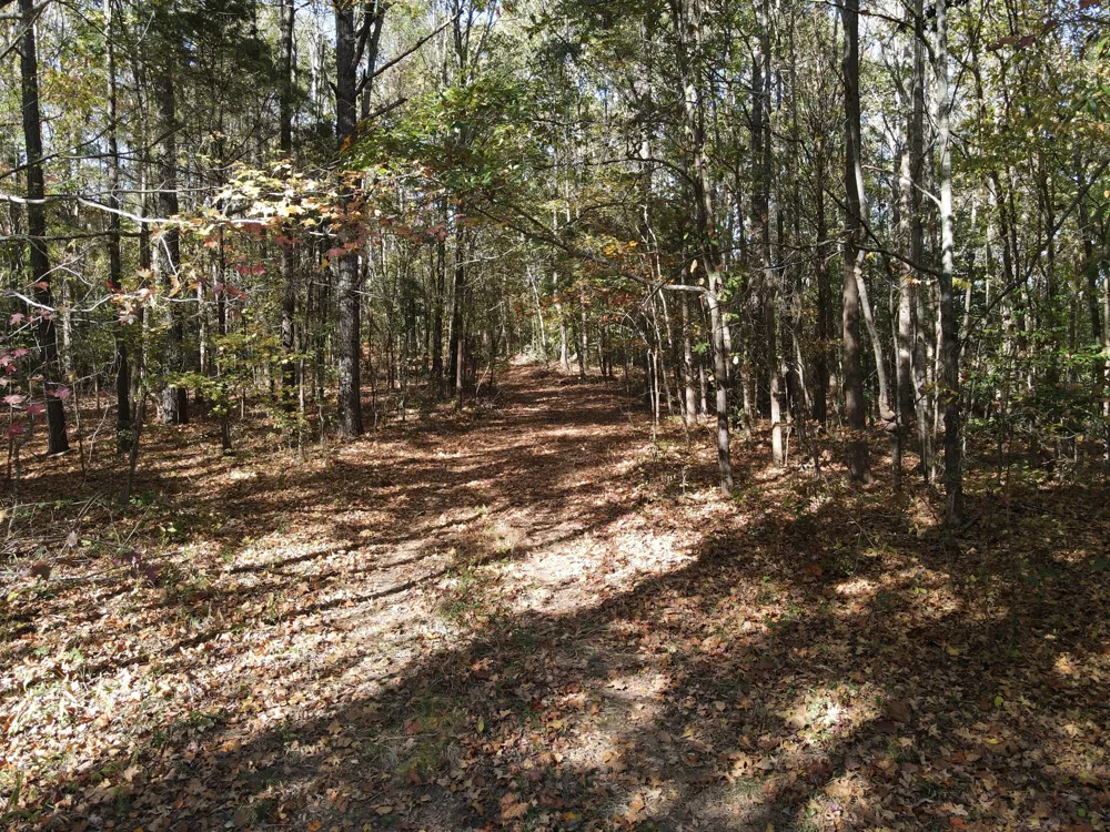 2 Copper Spring Road Springville, TN 38256