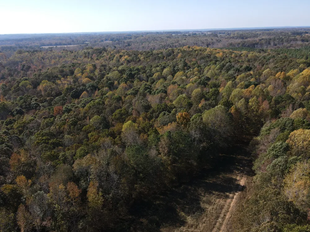 2 Copper Spring Road Springville, TN 38256