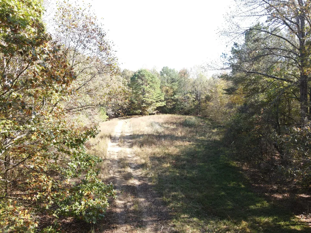 2 Copper Spring Road Springville, TN 38256
