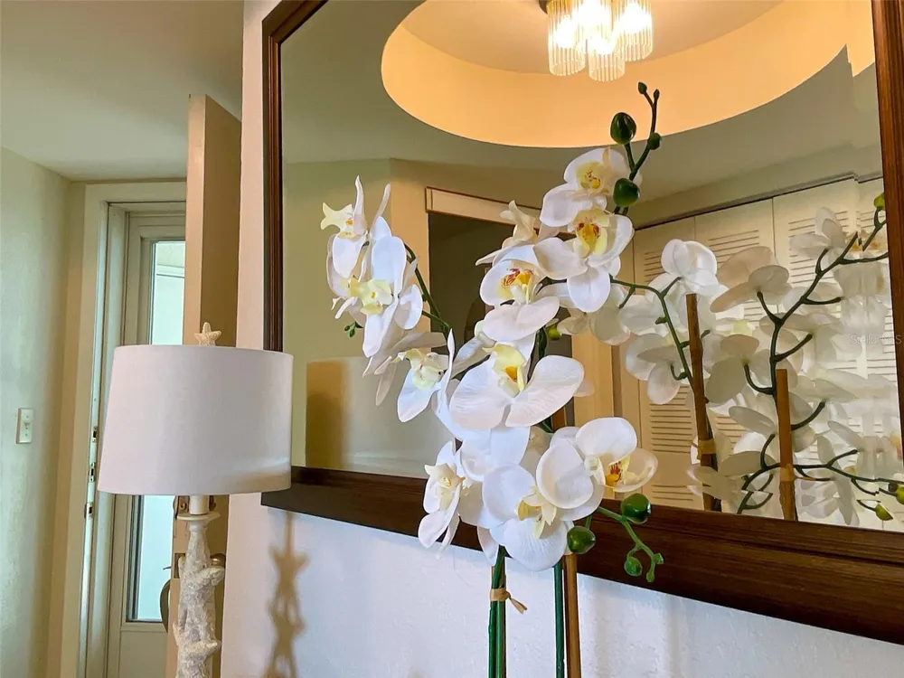 5277 ISLA KEY BOULEVARD S #124 St Petersburg, FL 33715
