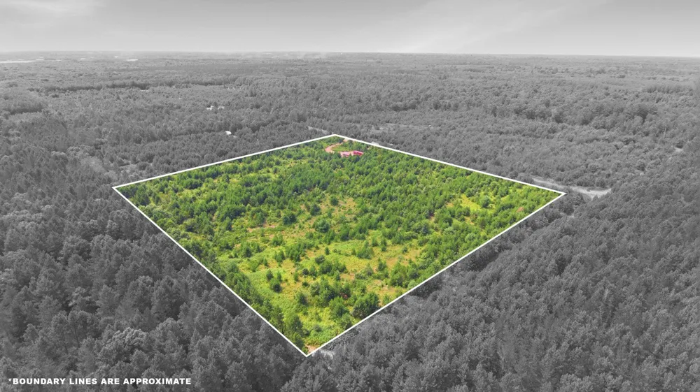 26162 Ashtons Trail Webster, WI 54893