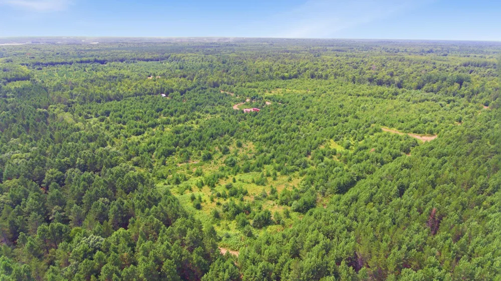 26162 Ashtons Trail Webster, WI 54893
