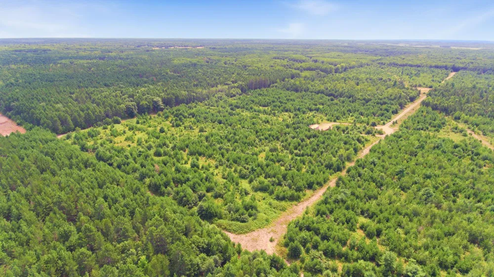 26162 Ashtons Trail Webster, WI 54893