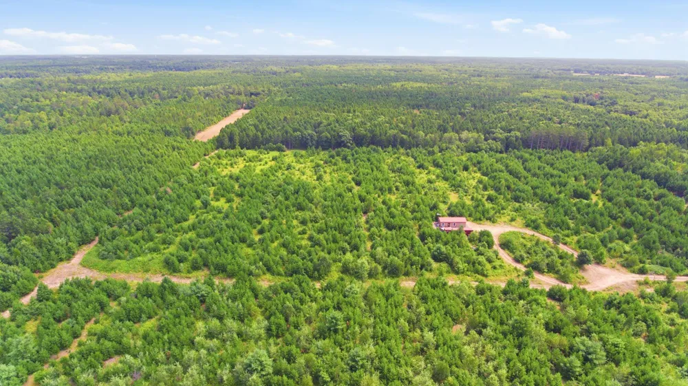 26162 Ashtons Trail Webster, WI 54893