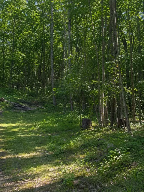 TBD Birchcurve Road