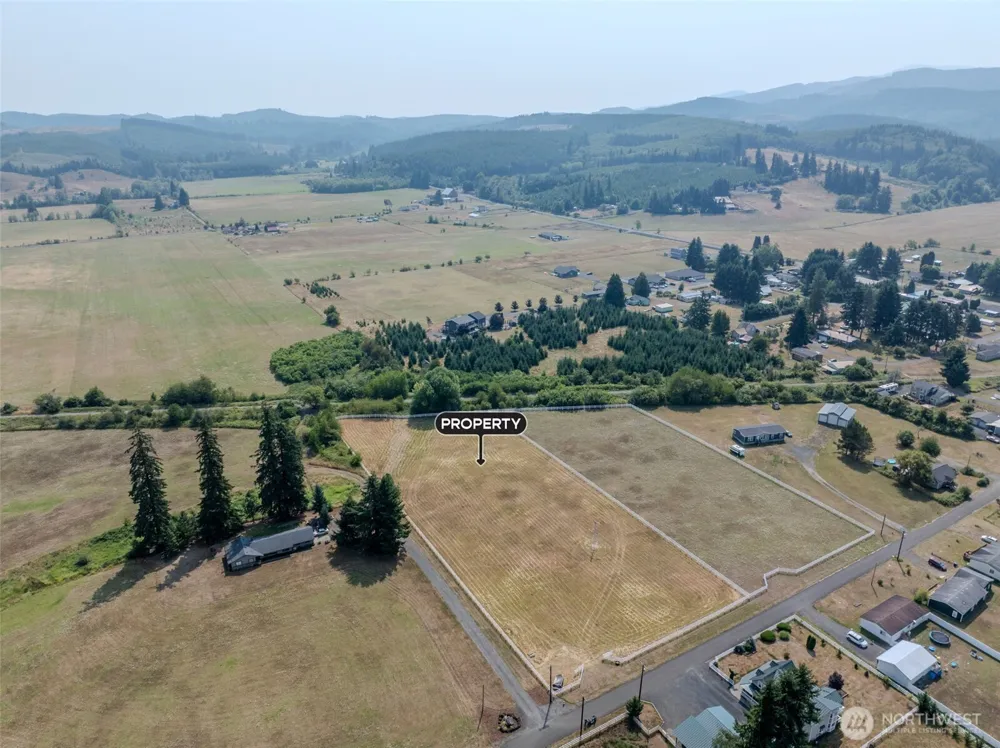 0 Cedar Street Pe Ell, WA 98572