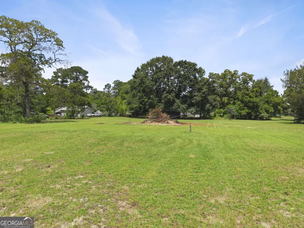 1040 Tommy Purvis Jr Reynolds, GA 31076