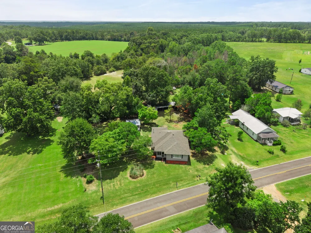 1040 Tommy Purvis Jr Reynolds, GA 31076