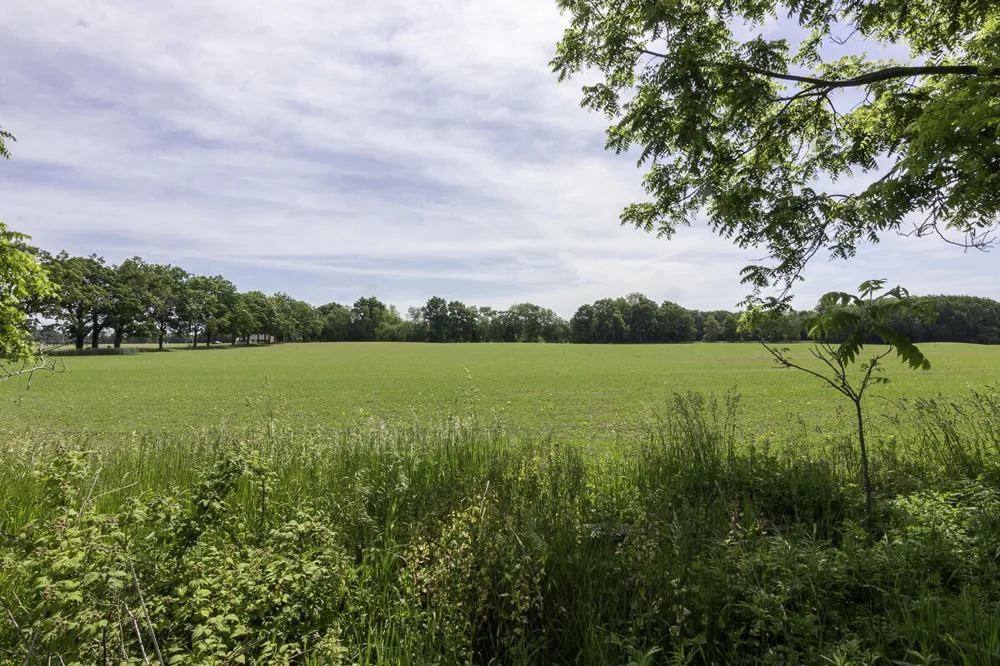 11481 Cressey Road Plainwell, MI 49080