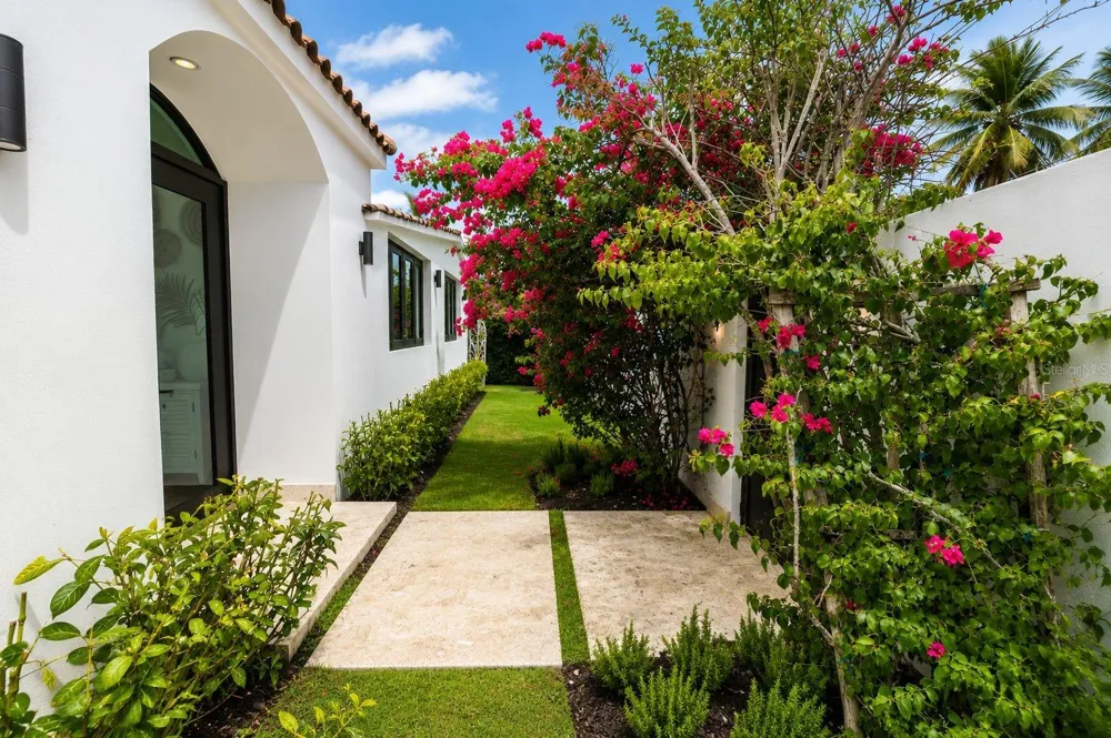 60 SOLDADO SERRANO San Juan, PR 00911