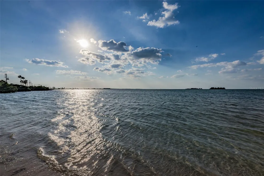 2476 CORONADO WAY Dunedin, FL 34698