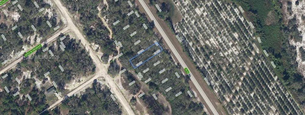 903 COUNTY ROAD 29 Lake Placid, FL 33852