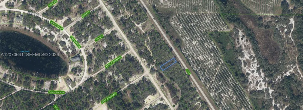 903 COUNTY ROAD 29 Lake Placid, FL 33852
