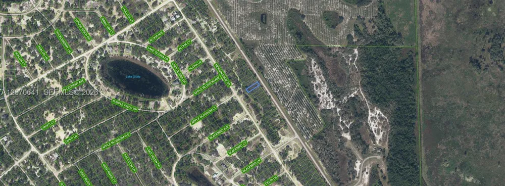 903 COUNTY ROAD 29 Lake Placid, FL 33852