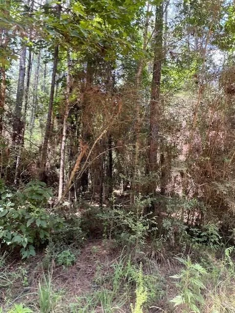 Camp Seale Rd Livingston, TX 77351