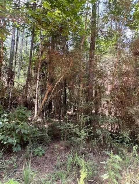 Camp Seale Rd