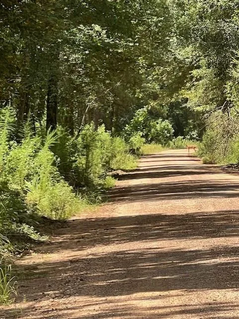 Camp Seale Rd Livingston, TX 77351