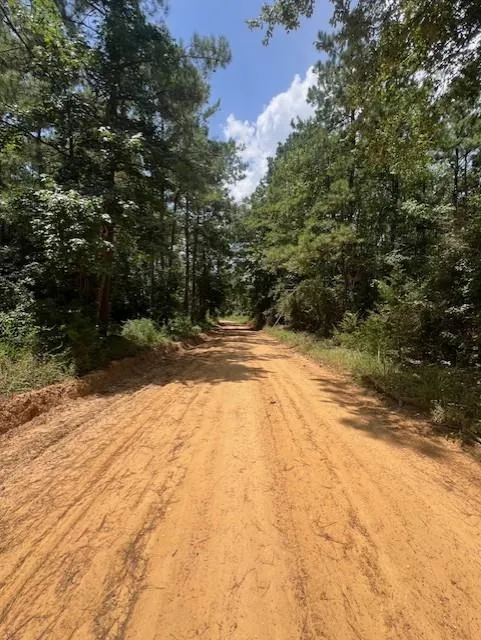 Camp Seale Rd Livingston, TX 77351