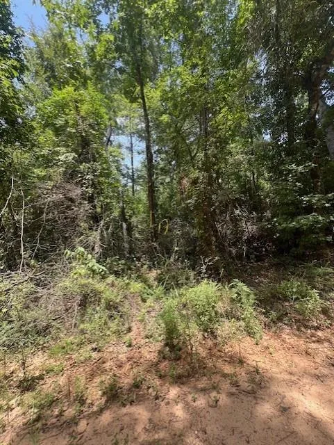 Camp Seale Rd Livingston, TX 77351