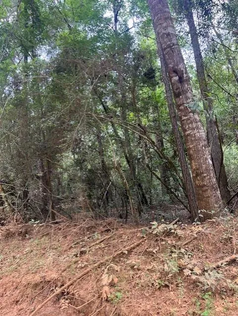 Camp Seale Rd Livingston, TX 77351