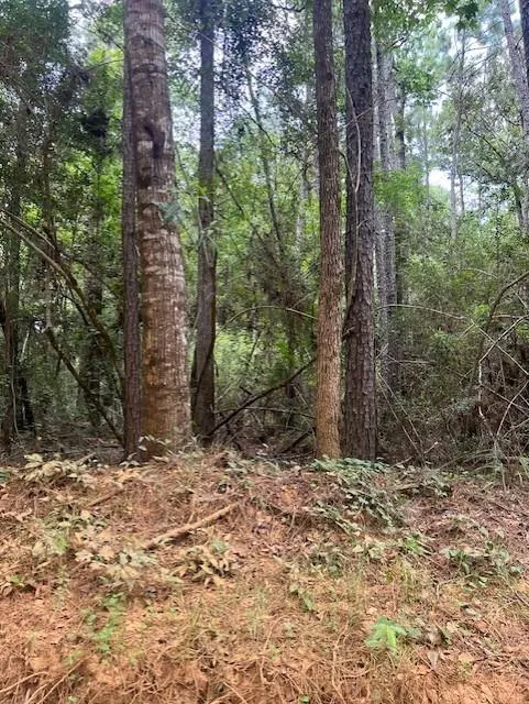 Camp Seale Rd Livingston, TX 77351