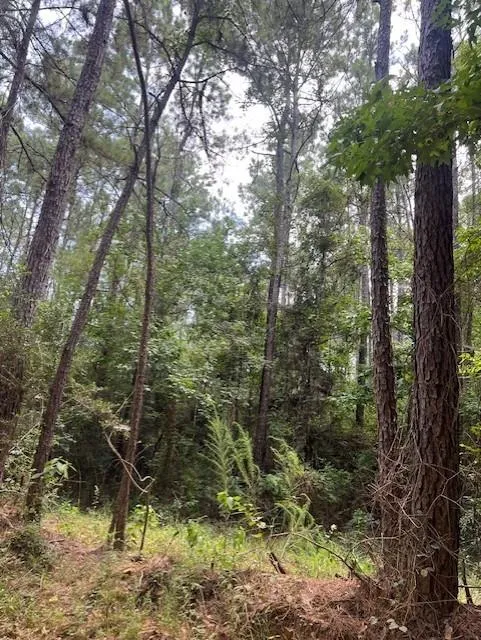 Camp Seale Rd Livingston, TX 77351