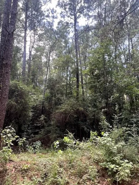 Camp Seale Rd Livingston, TX 77351