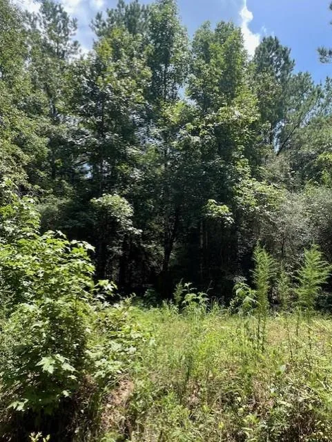 Camp Seale Rd Livingston, TX 77351