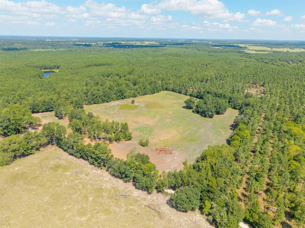 Cr 3365 Lovelady, TX 75851